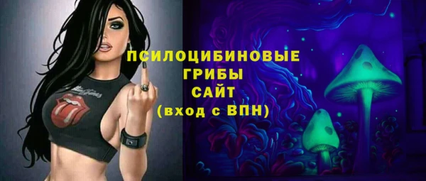 ешки Алексеевка