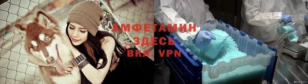 спиды Алзамай