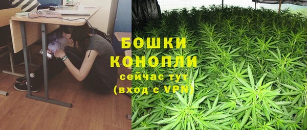 ешки Алексеевка