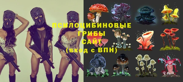 спиды Алзамай