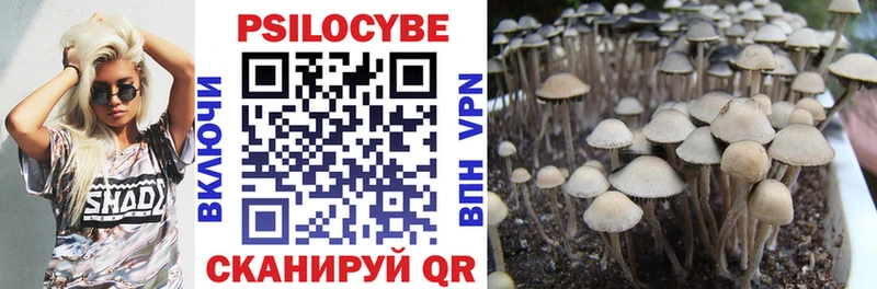 Псилоцибиновые грибы GOLDEN TEACHER  закладка  Наволоки 